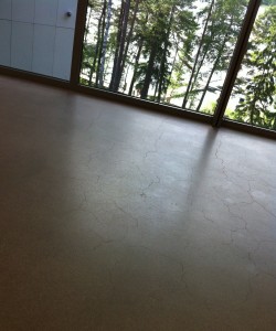 Fantastic_concrete_floor